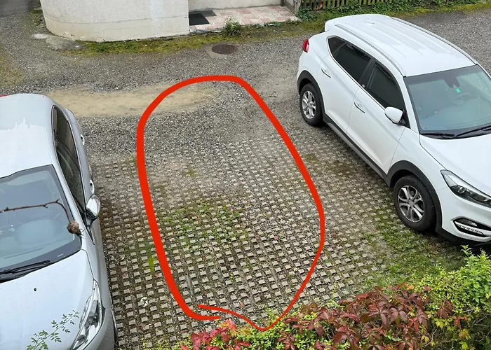 Ferdinands Gateaway Inkl Breakfast * Bern